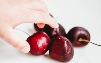 Resolució subvenció de la Conselleria d´Educació, Cultura i Esport