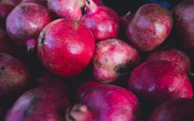 Visitem l’exposició «Collars o cadenes» de la ceramista Cristina Guzmán a la Biblioteca Municipal d’Aldaia