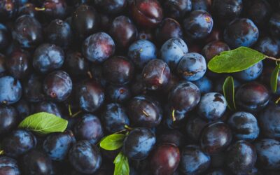 Día Internacional de las Mujeres